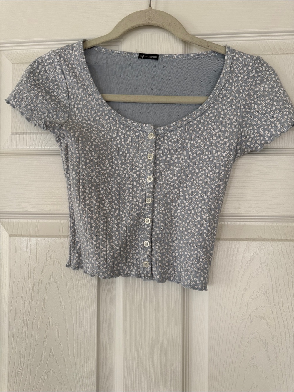 Brandy Melville Light Blue Floral Button Crop Top